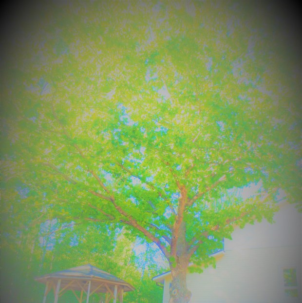 Karstun koulun kevätjuhla